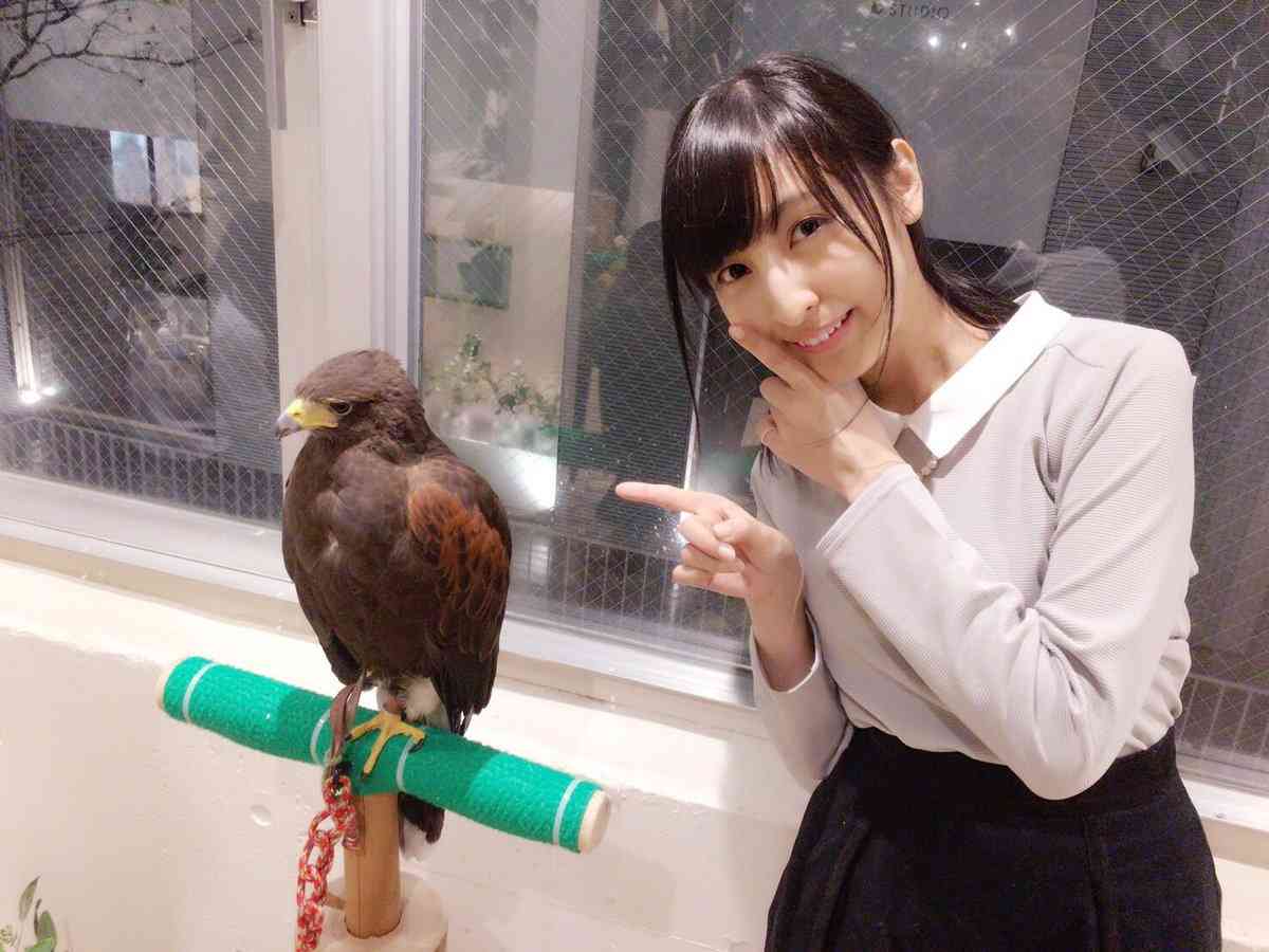 51话4