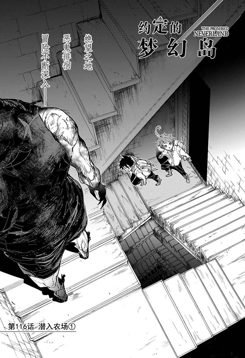 约定的梦幻岛2在线观看樱花动漫漫画,第116话1图