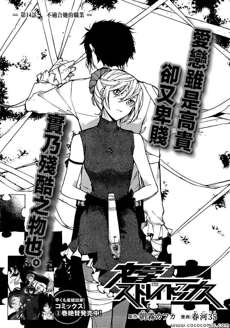 文豪野犬第五季在线观看免费漫画,第14话3图