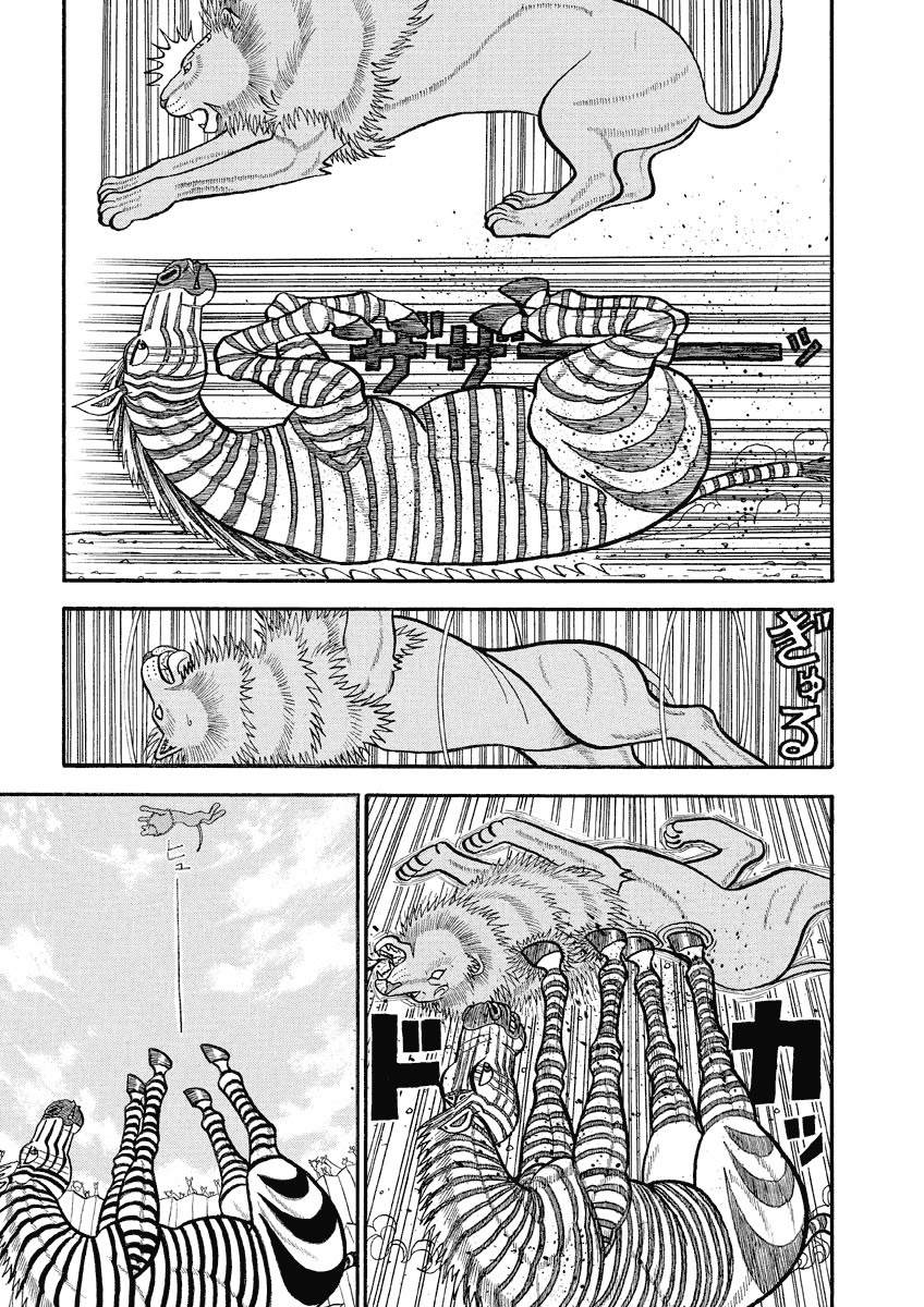 第144话 泽布拉的猛攻4