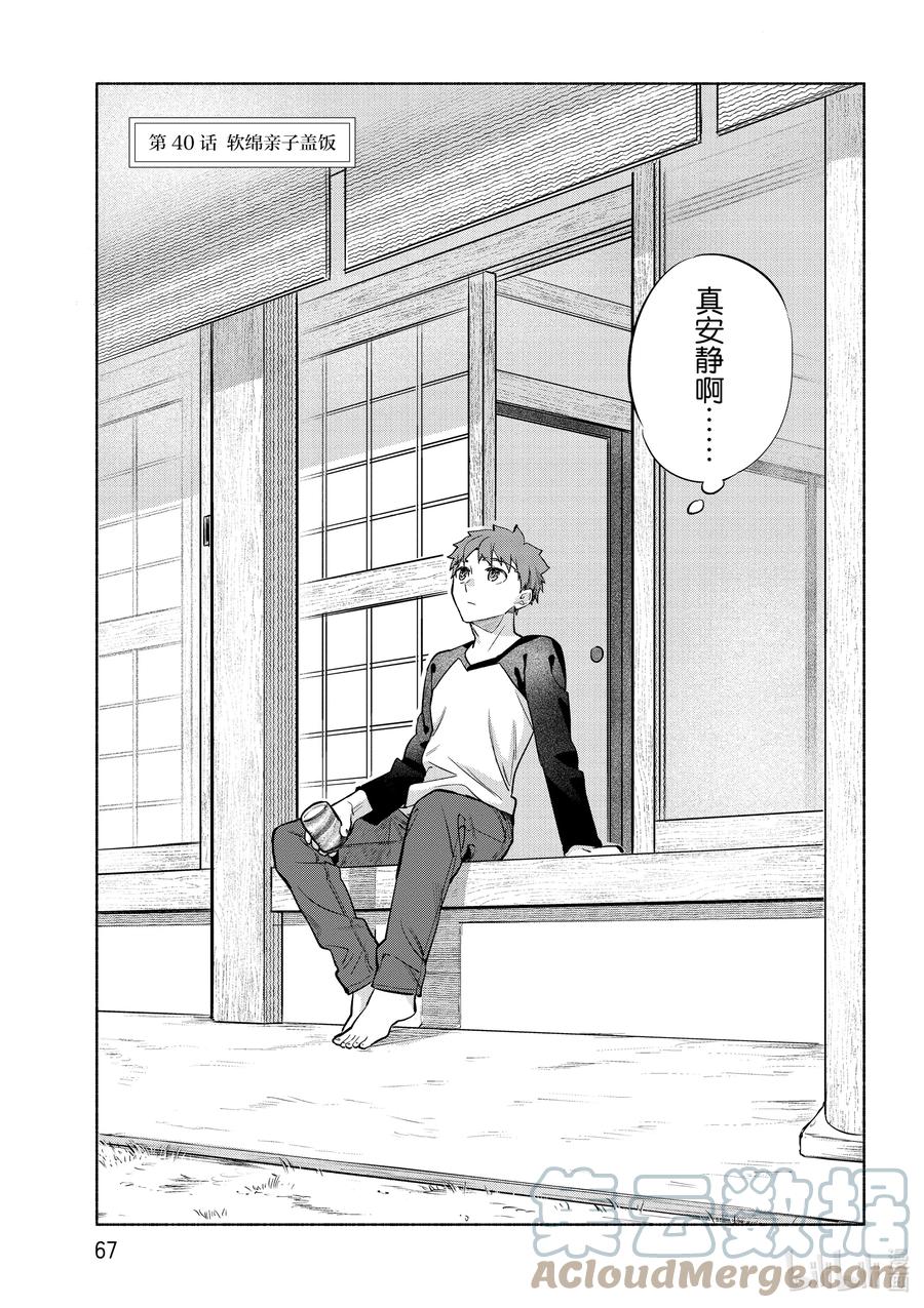 卫宫家今天的饭时间线漫画,40 软绵亲子盖饭3图