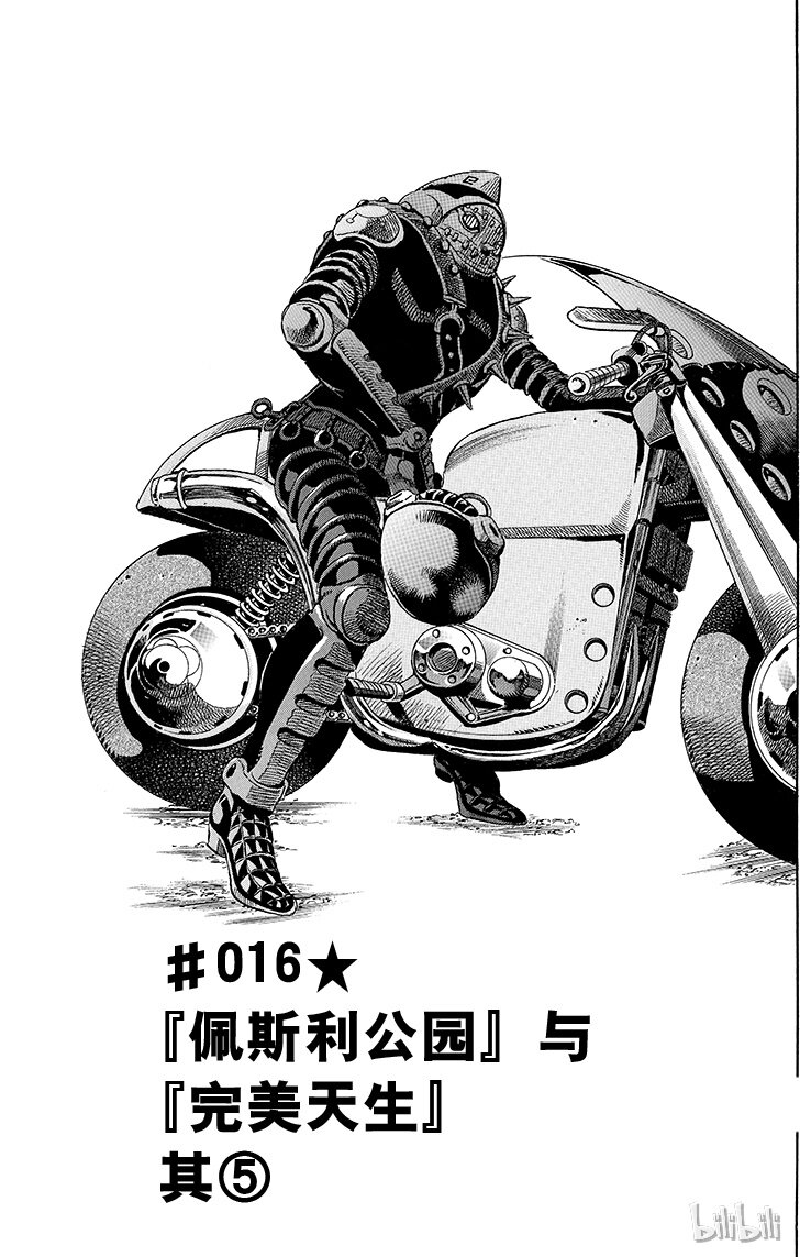 16 [佩斯利公园]与[完美天生] 其50