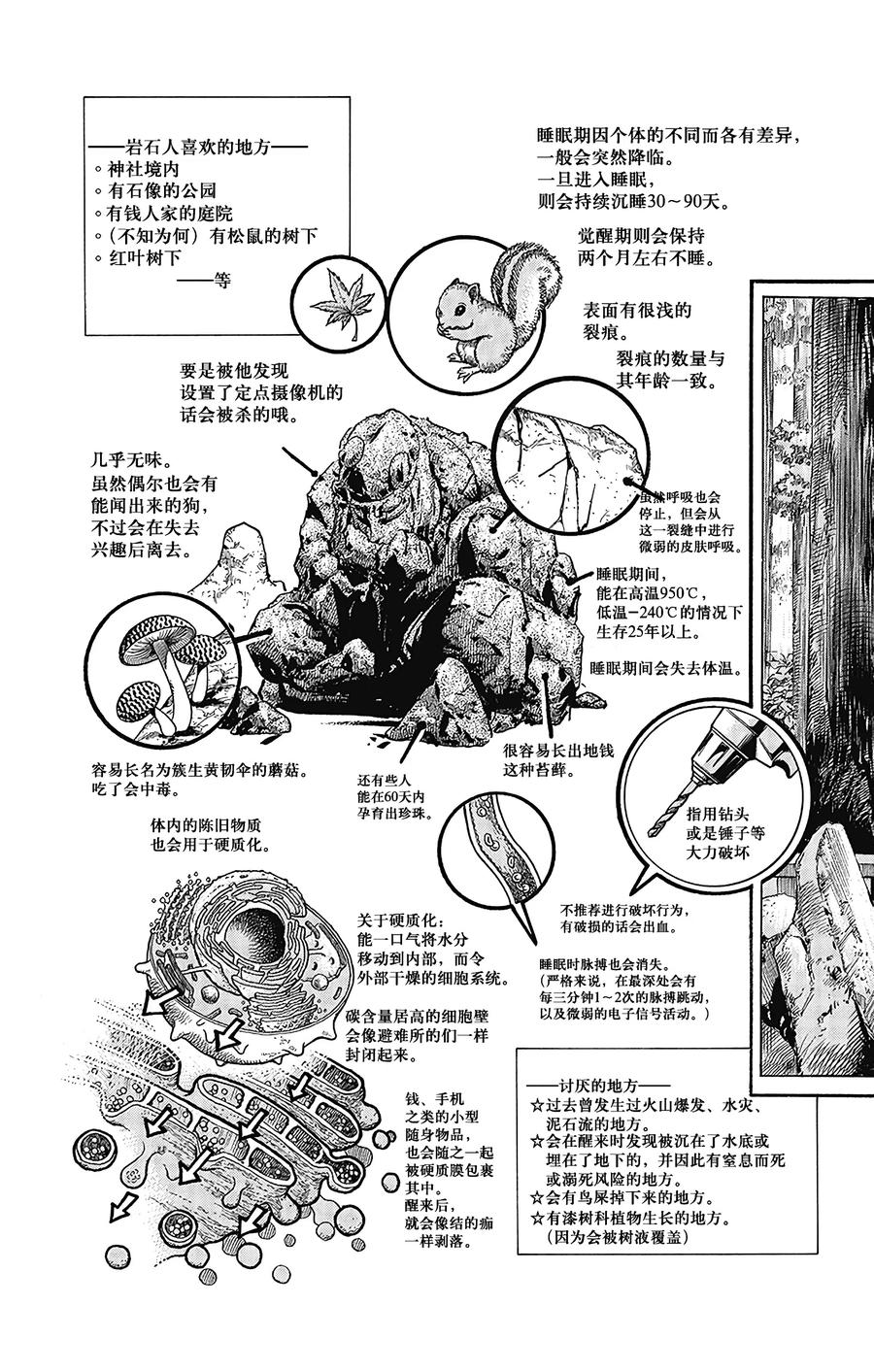 46 华丽挚爱  其42