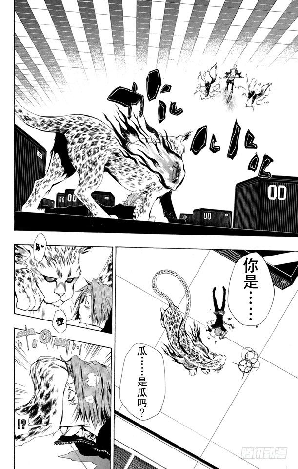 家庭教师的英语漫画,第195话 瓜2图