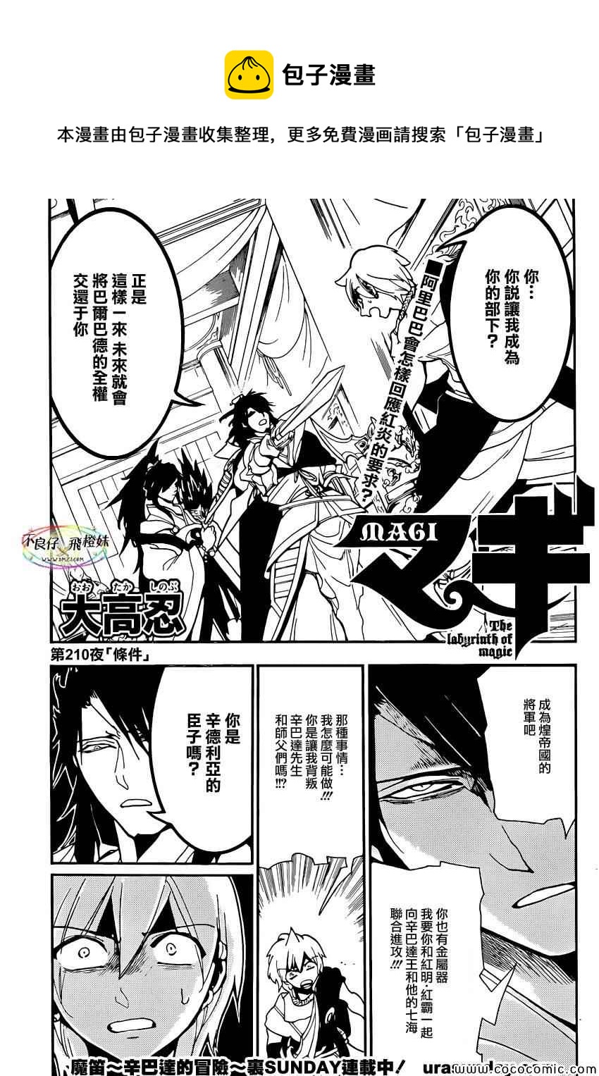 魔笛magi漫画下拉式漫画,第210话1图