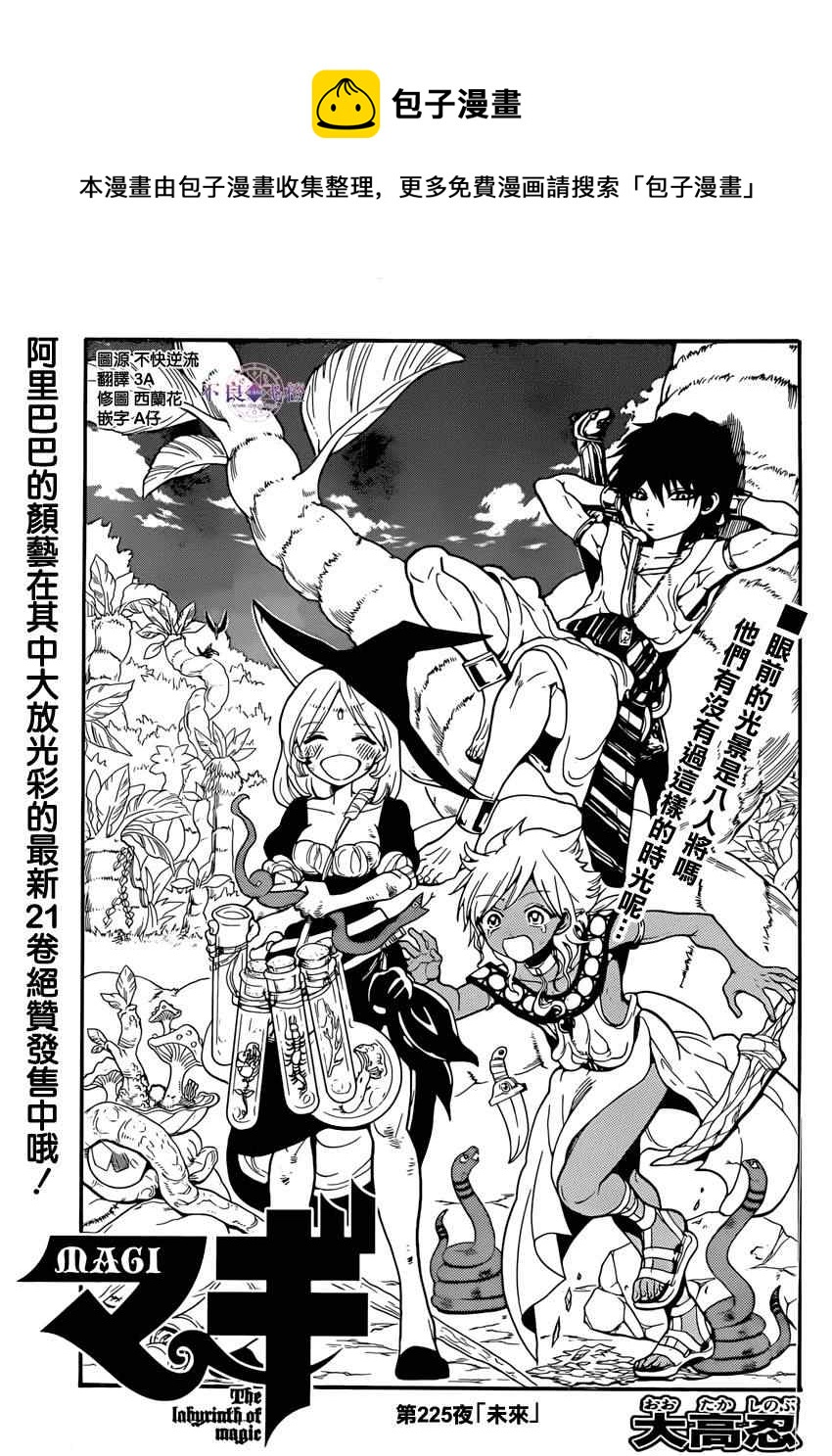 魔笛magi漫画下拉式漫画,第225话1图