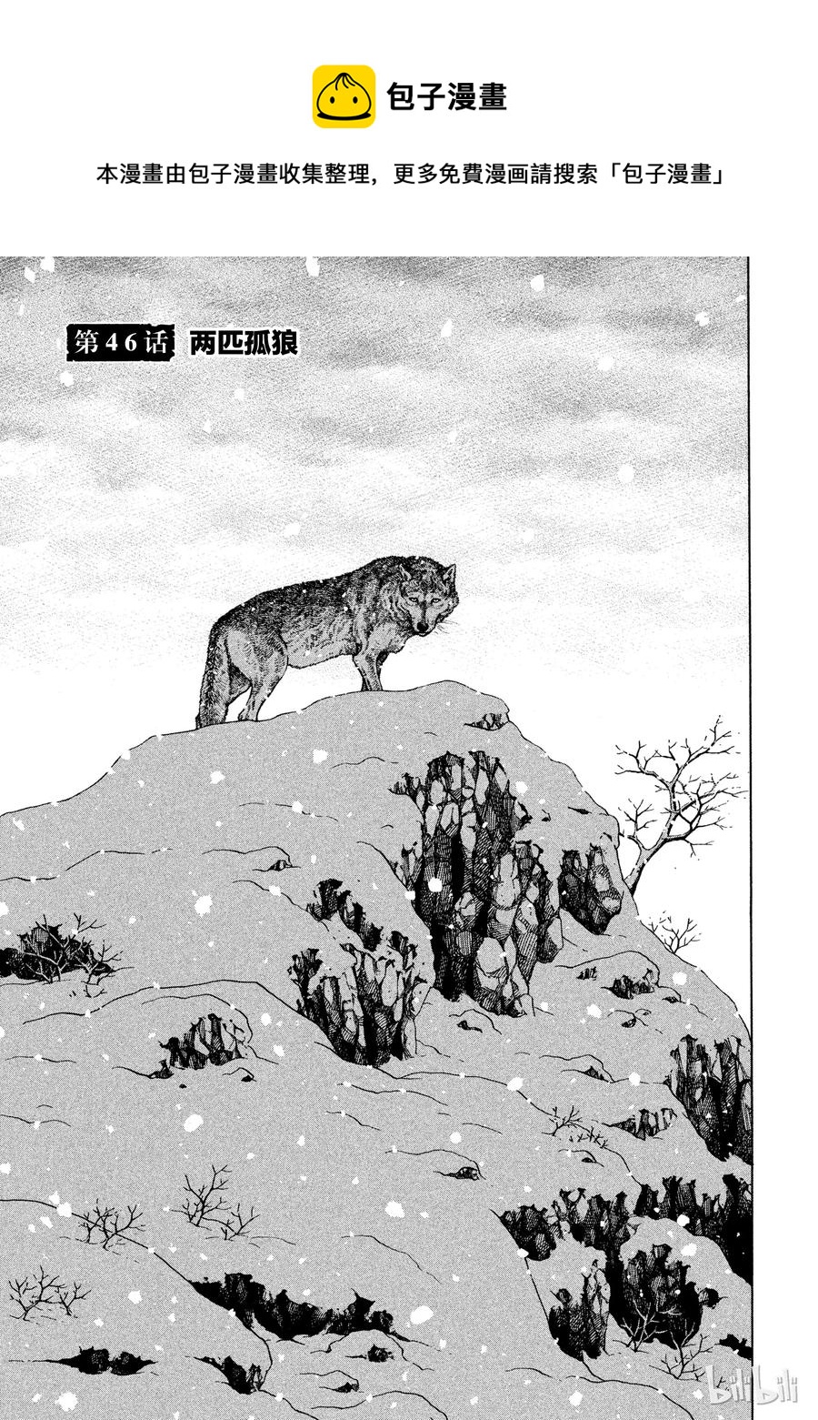 冰海战记第一季全集解说漫画,046 两匹孤狼1图
