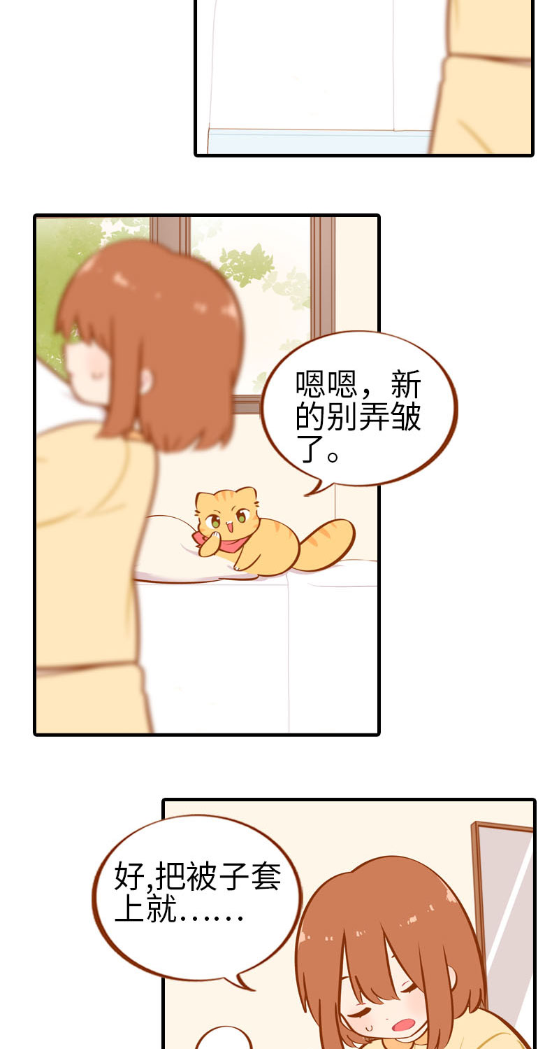 第28话 热衷参与家事的男主人4