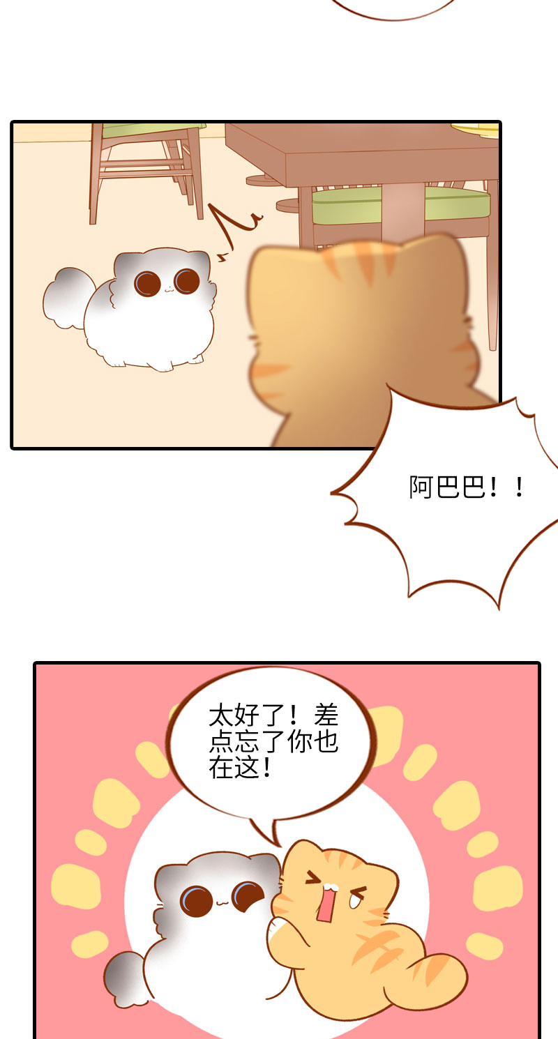第50话 以为自己被抛弃的橘子2