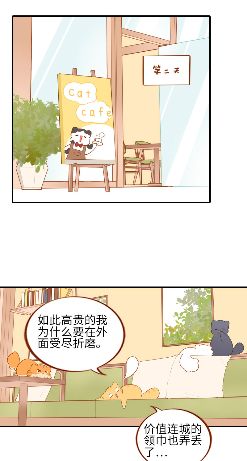 第50话 以为自己被抛弃的橘子1