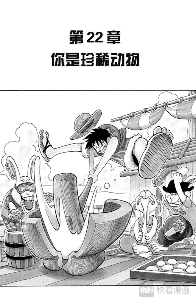 航海王热血航线体验服漫画,第22话 你是珍惜动物1图
