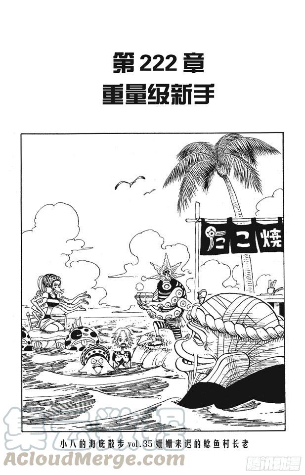 第222话 重量级新手0