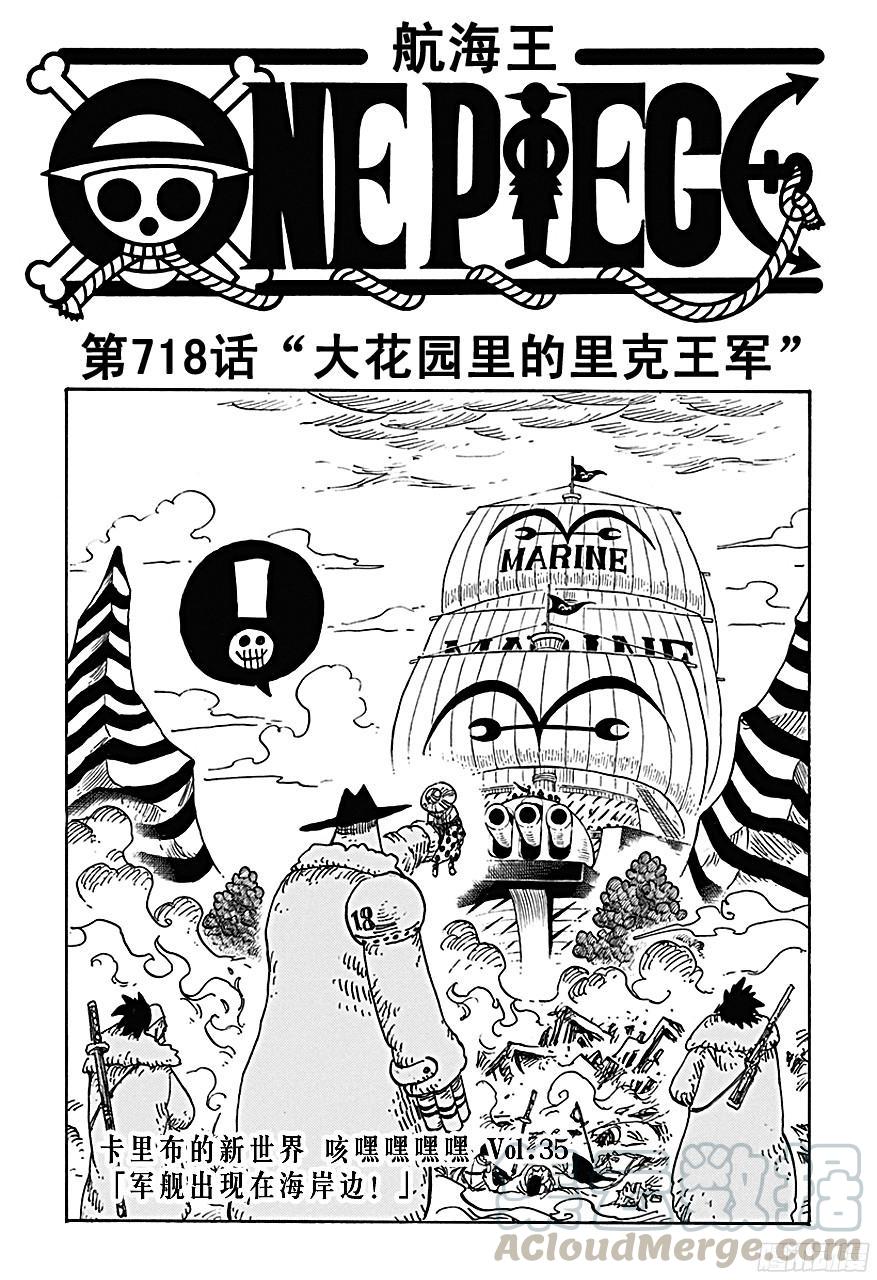 航海王热血航线体验服漫画,第718话 大花园里的里克王军1图