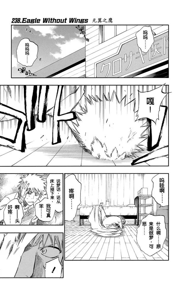 死神境界全篇漫画,第238话 无翼之鹰1图
